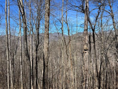 Lot 15 Bear Ln, Hiawassee, GA, 30546 | Card Image