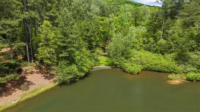 0 Golden Delicious Rd, Home with 0 bedrooms, 0 bathrooms and null parking in Clarkesville GA | Image 6