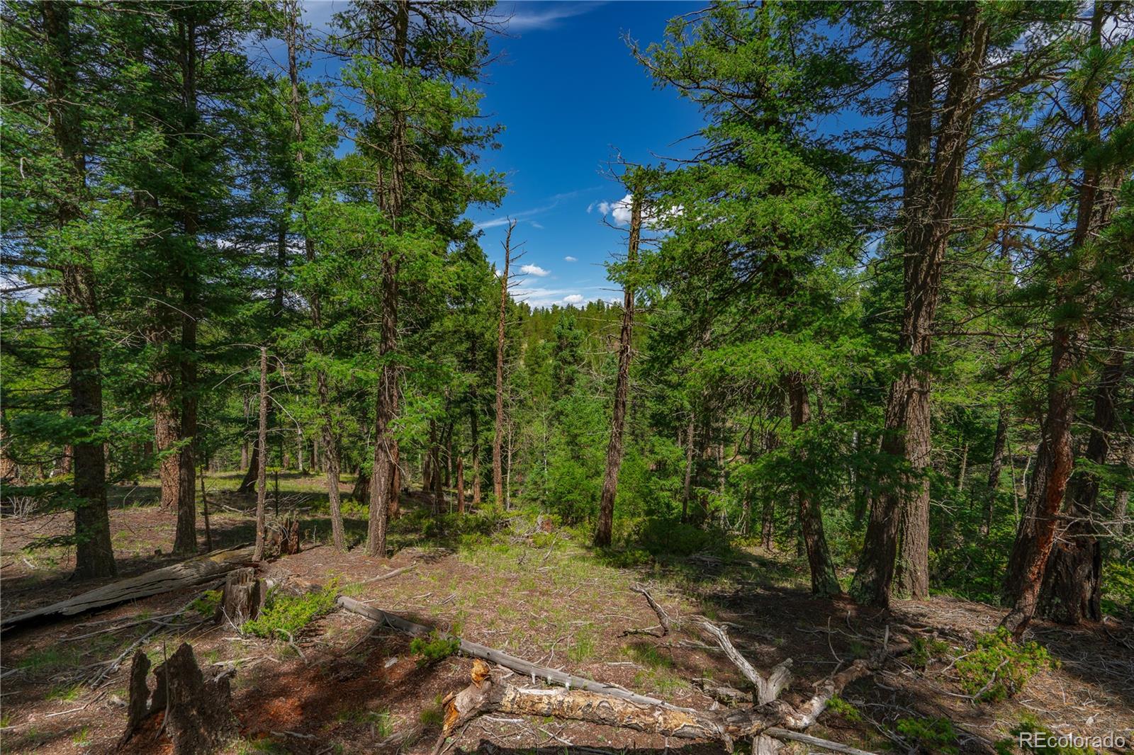 Land in Florissant