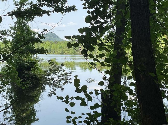 1602 Lake Cliff Rd, House other with 3 bedrooms, 2 bathrooms and null parking in Higden AR | Image 8