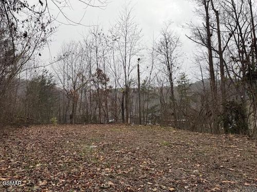 204 Savage Garden Rd, Gatlinburg, TN, 37738-3305 | Card Image