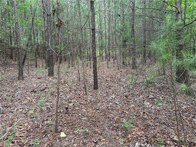 585 Galaxy Way Ne, Home with 0 bedrooms, 0 bathrooms and null parking in Ranger GA | Image 6