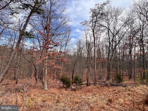 Lot 25 Nemacolin Trl, HEDGESVILLE, WV, 25427-4299 | Card Image