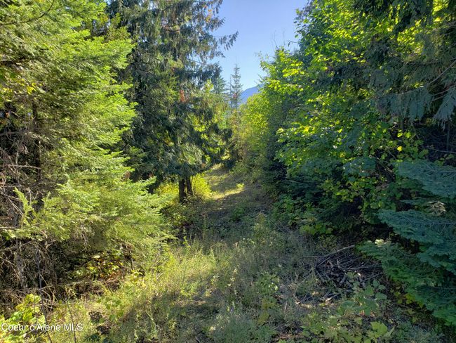 18 Majestic Mountain Rd, Home with 0 bedrooms, 0 bathrooms and null parking in Clark Fork ID | Image 38