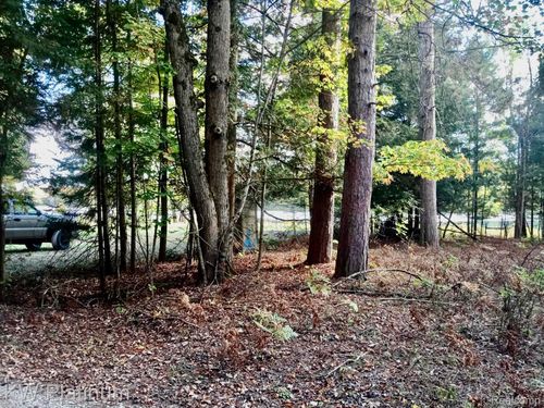 5867 Pine Ln, Posen, MI, 49776-9499 | Card Image