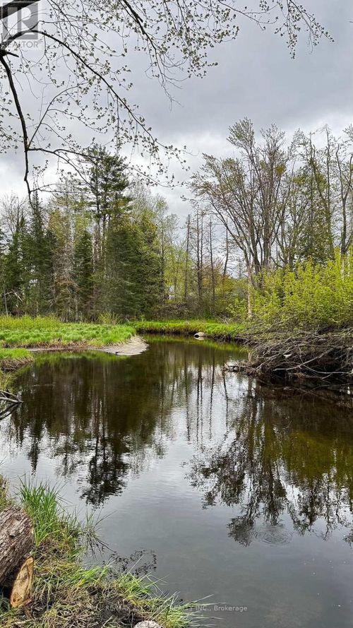 2348 Northey'S Bay Rd, North Kawartha, ON, K0L2H0 | Card Image