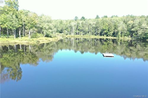 56c-17 Gold Dan Rd, Swan Lake, NY, 12783-5505 | Card Image