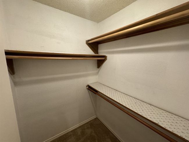 Spacious closet featuring carpet flooring | Image 15