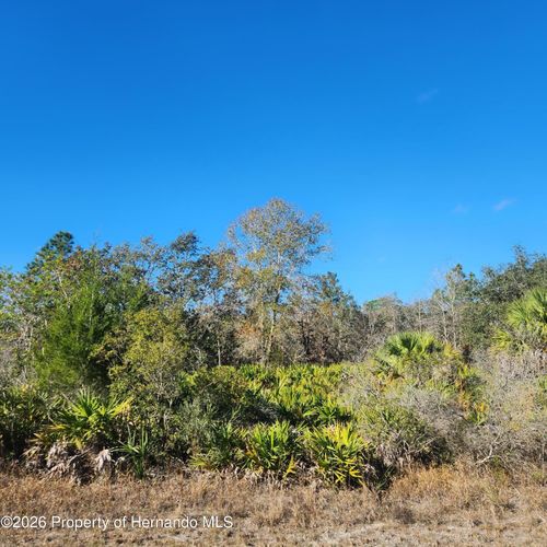 0 Quiet Rd, Brooksville, FL, 34614 | Card Image