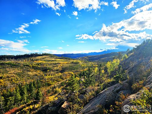 805 Meadows Dr, Drake, CO, 80515 | Card Image