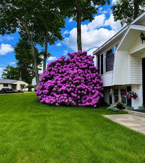 8 Radcliffe Dr, Nashua, NH, 03062-1308 | Card Image