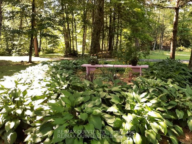 3247 Flinton Rd, House other with 3 bedrooms, 1 bathrooms and 10 parking in Flinton ON | Image 5