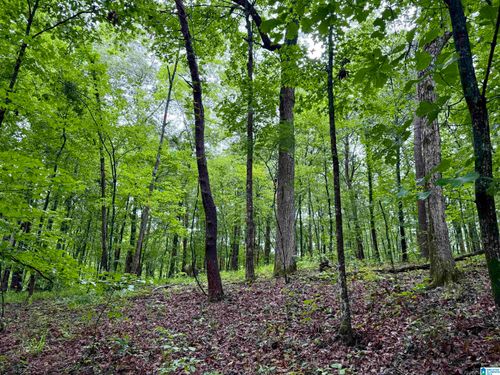 0-53756 Highway 25, VANDIVER, AL, 35176-7330 | Card Image