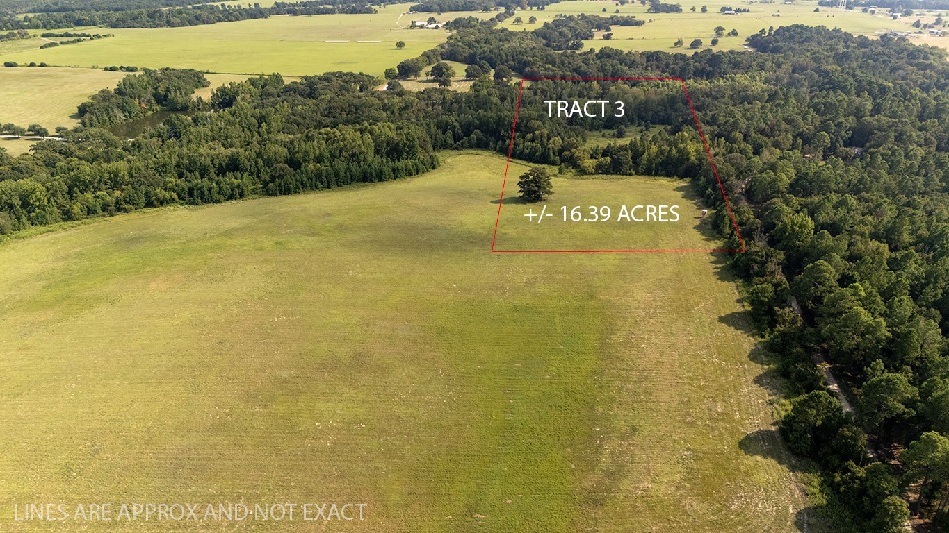 Land in Brownsboro 2
