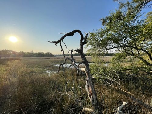 8468 Chisolm Plantation Rd, Edisto Island, SC, 29438-6616 | Card Image