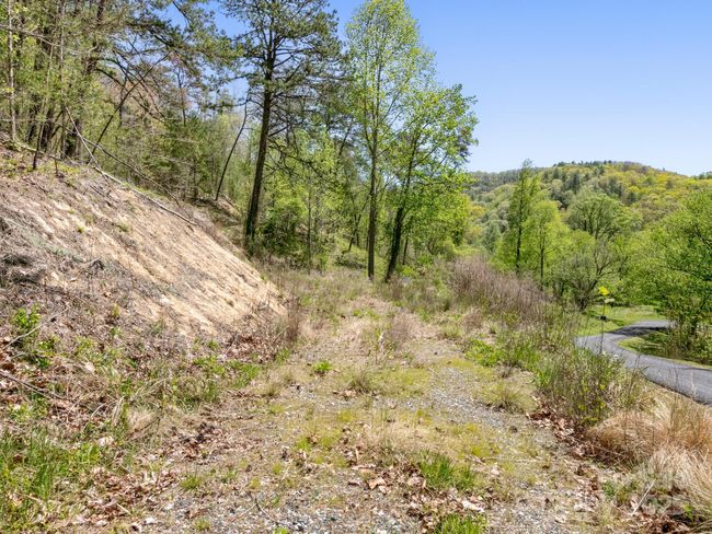 47 - 21 River Park Way, Home with 0 bedrooms, 0 bathrooms and null parking in Marshall NC | Image 13