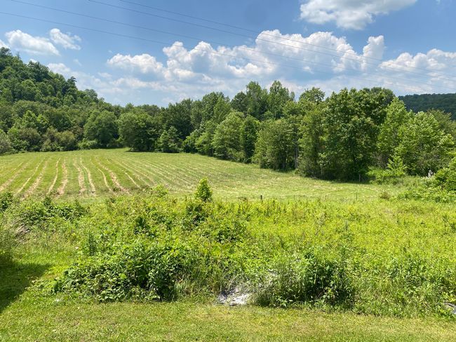 648 Hayes Creek Rd, House other with 3 bedrooms, 1 bathrooms and null parking in Strunk KY | Image 37