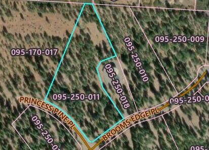 Land in Shingletown 2