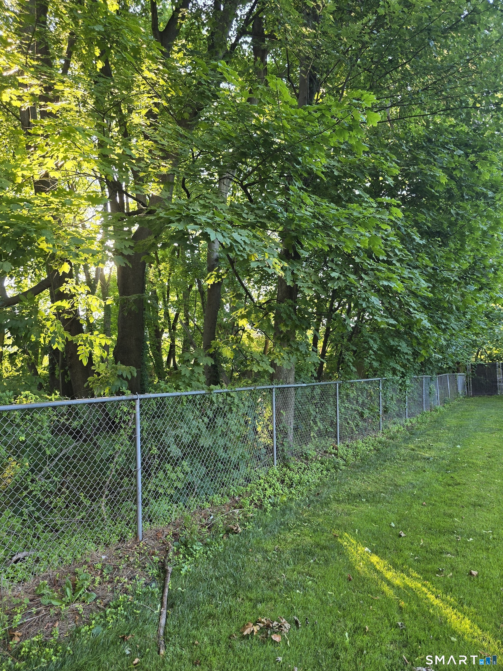 Land in Danbury 5