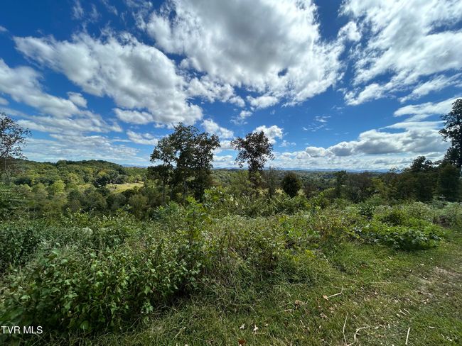 1300 Fish Hatchery Rd, House other with 3 bedrooms, 2 bathrooms and null parking in Mohawk TN | Image 20