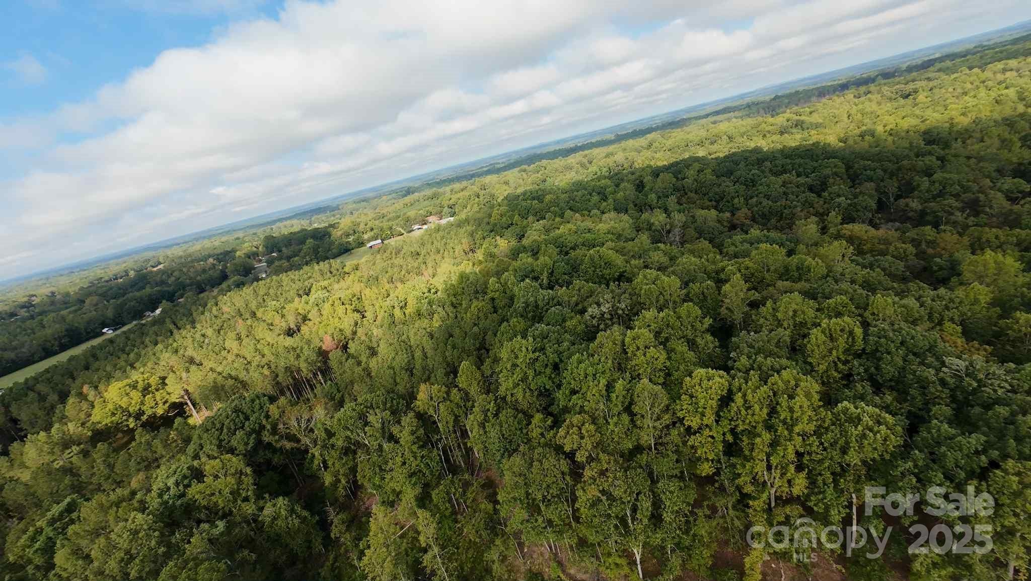 Land in Sharon 4