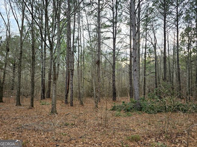 0 Willow St, Home with 0 bedrooms, 0 bathrooms and null parking in Stephens GA | Image 19