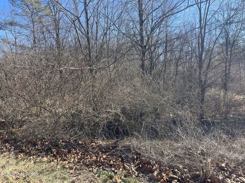 0 Livesay St, Crossville, TN, 38555 | Card Image