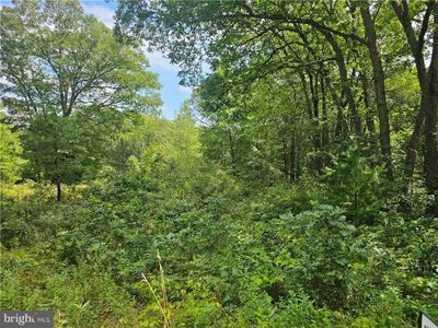 LOT-148 - Fox Lane, Home with 0 bedrooms, 0 bathrooms and null parking in Jim Thorpe PA | Image 3