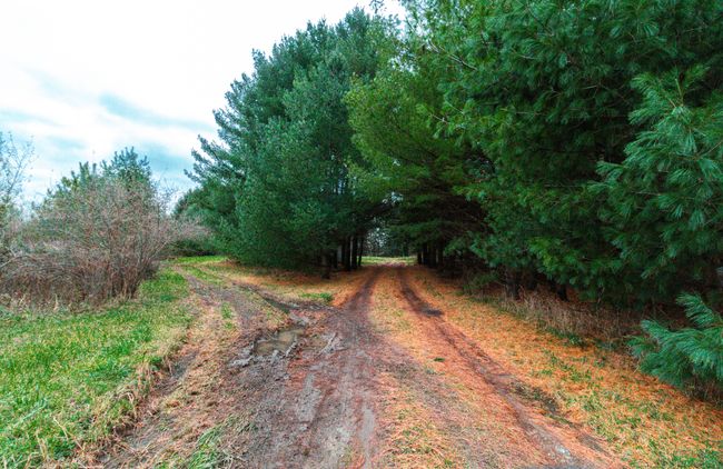 Driveway | Image 20