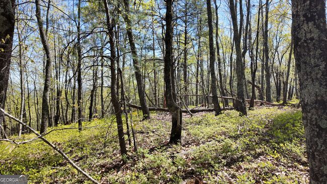 LOT 19 Heyden Ridge Dr, Home with 0 bedrooms, 0 bathrooms and null parking in Clarkesville GA | Image 6