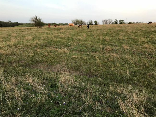 5796 Hurtig Rd, Home with 0 bedrooms, 0 bathrooms and null parking in Bleiblerville TX | Image 18