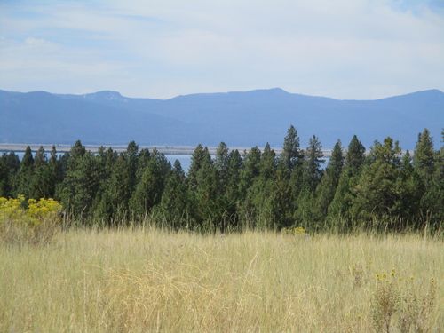 NKA Dawn Loop, Chiloquin, OR, 97624 | Card Image