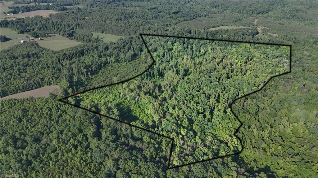 Land in Reidsville 4