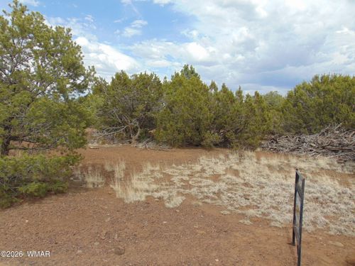 34 N3124, Vernon, AZ, 85940-0497 | Card Image