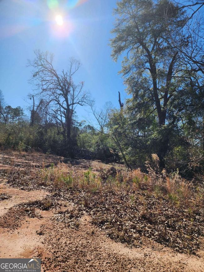 9474 Broad St, Home with 0 bedrooms, 0 bathrooms and null parking in Avera GA | Image 19