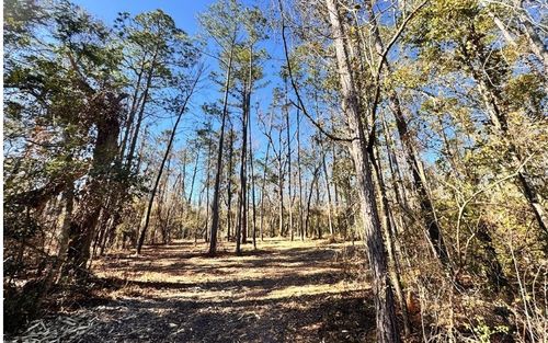 0 Ne Chervil Dr, Lee, FL, 32059 | Card Image