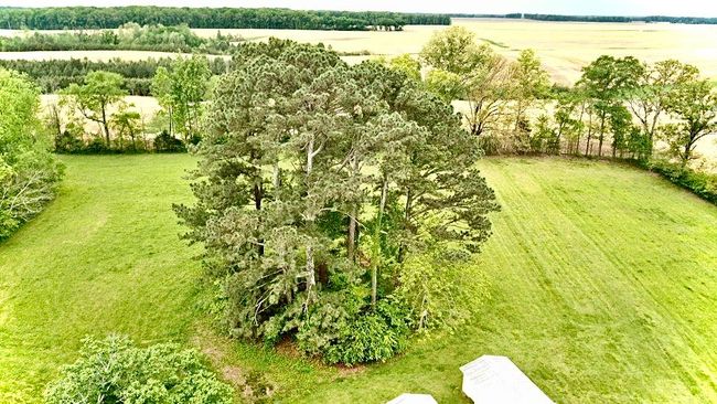 297 Appleton Rd, House other with 2 bedrooms, 1 bathrooms and 1 parking in Five Points TN | Image 39