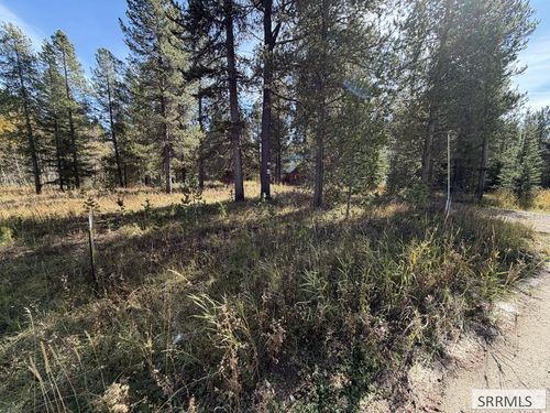 TBD Beaver Dr, Island Park, ID, 83429 | Card Image