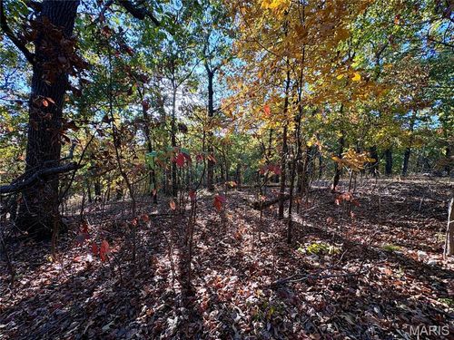 000 Walking Horse Lane, St Mary, MO, 63673 | Card Image