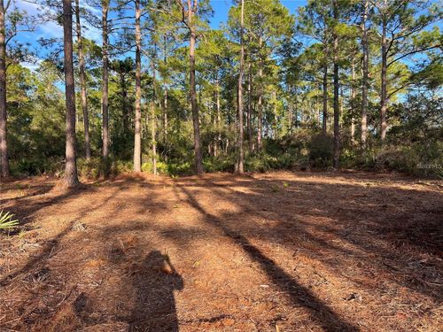 TBD Chinaberry Way, EUSTIS, FL, 32736 | Card Image