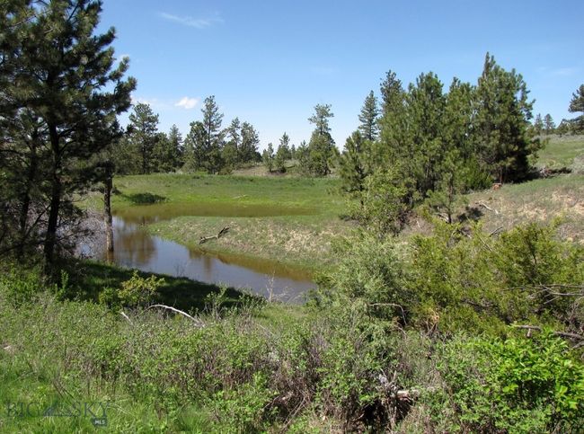 Full Seasonal Pond | Image 42