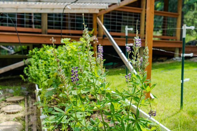 Garden | Image 10