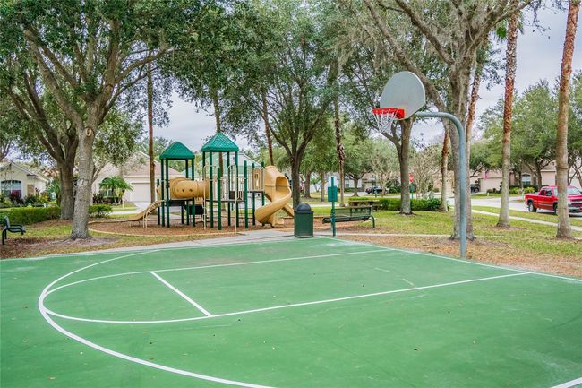 10203 Shadow Branch Dr, House other with 4 bedrooms, 3 bathrooms and null parking in TAMPA FL | Image 63
