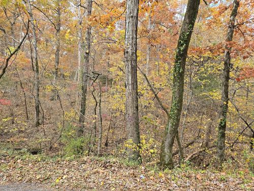 000 Mineral Dr, Houston, MO, 65483 | Card Image