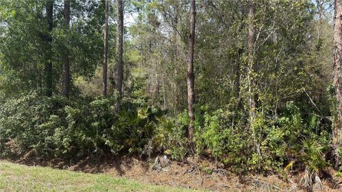 4801 E La Flam Rd, AVON PARK, FL, 33825-9061 | Card Image