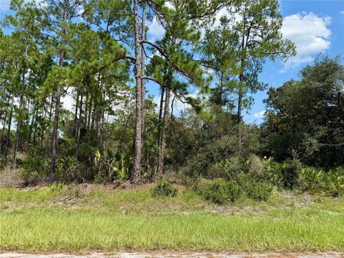 LOT 20 Balsam St, EUSTIS, FL, 32736 | Card Image