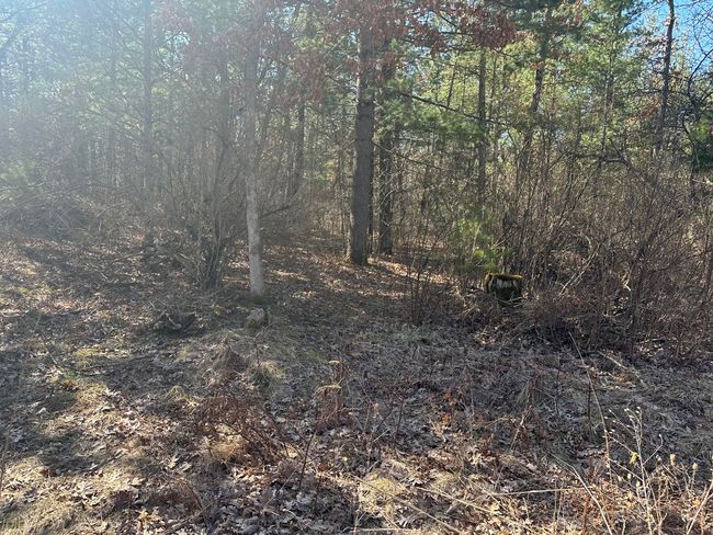 00 W Ogilvie Ave, Home with 0 bedrooms, 0 bathrooms and null parking in Baldwin MI | Image 4