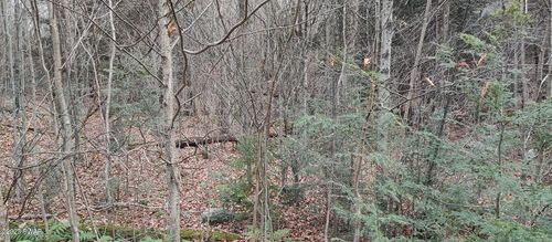 Lot 50 Riverfront Way, Gouldsboro, PA, 18424 | Card Image