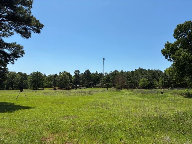 450 Vz County Road 4814, House other with 3 bedrooms, 2 bathrooms and null parking in Ben Wheeler TX | Image 5
