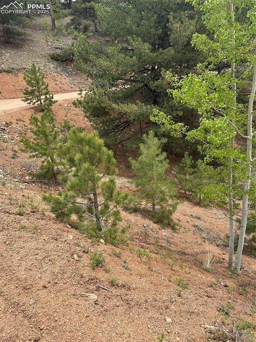 1600 Pikes Peak Dr, Divide, CO, 80814 | Card Image
